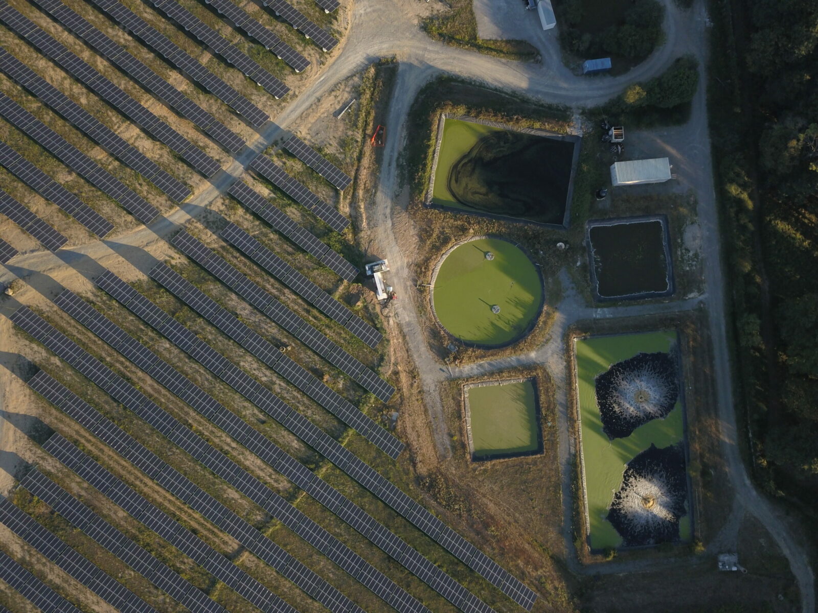 DCIM100MEDIADJI 0090.JPG